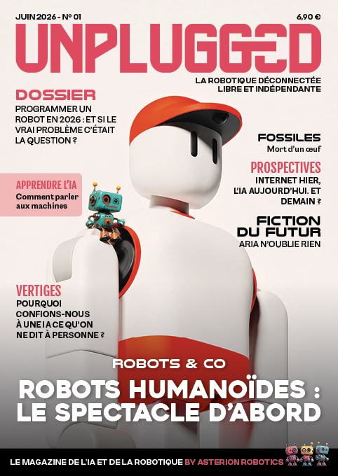 Robots humanoïdes : le spectacle d'abord
